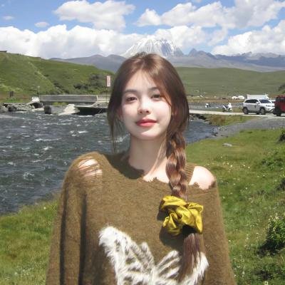 万里寻妹 海报