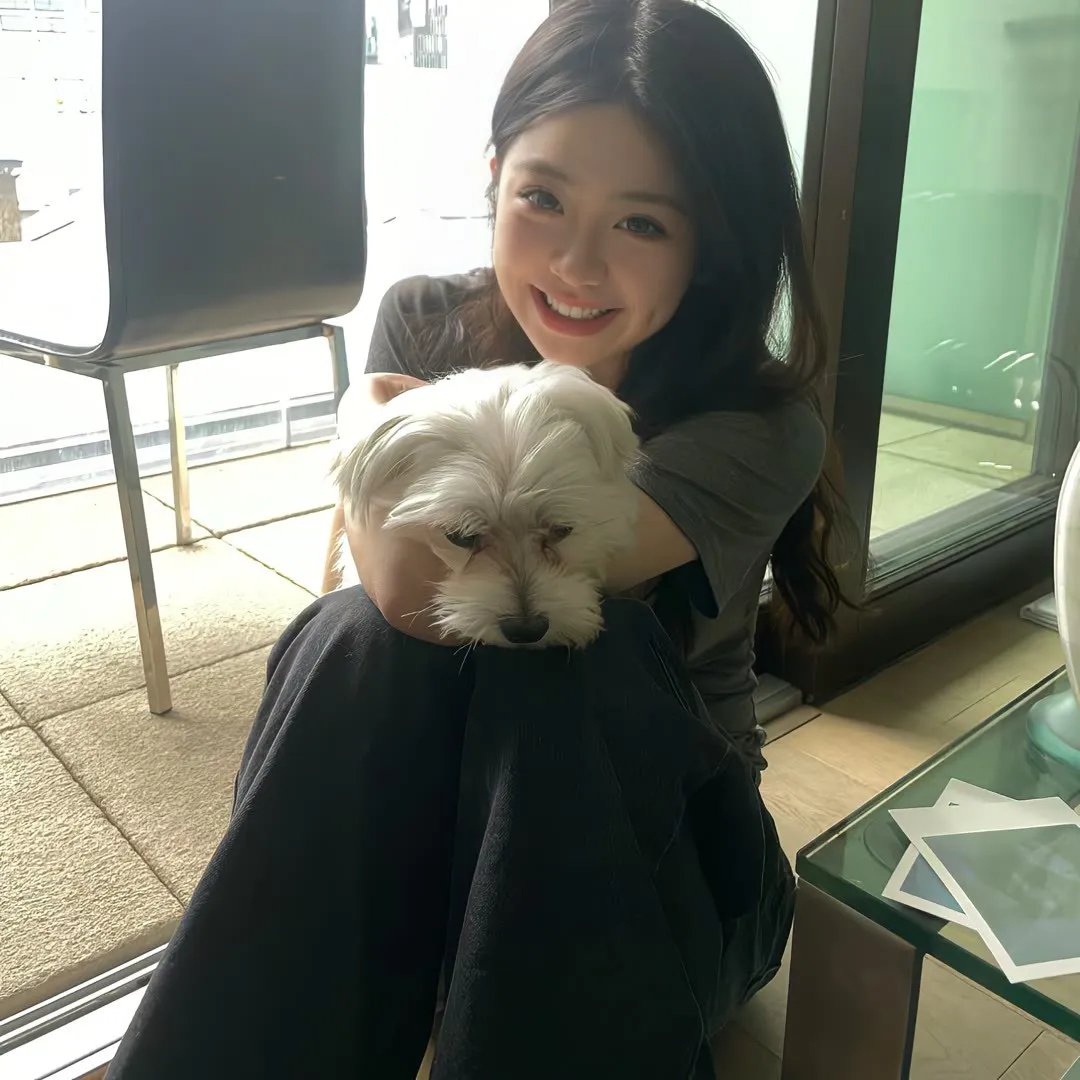 孤岛终结 海报